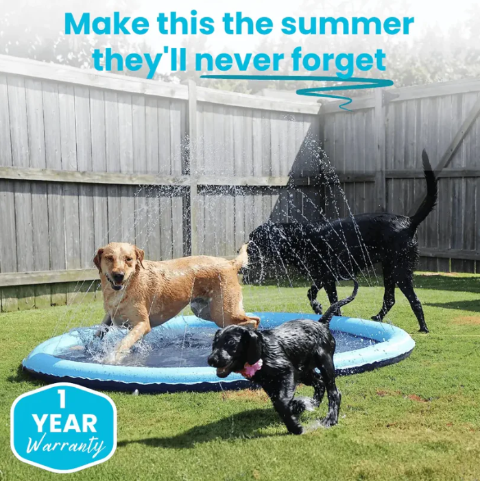 🔥Last Day 70% OFF🔥—— Pup Paradise Splash Pad