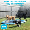 🔥Last Day 70% OFF🔥—— Pup Paradise Splash Pad