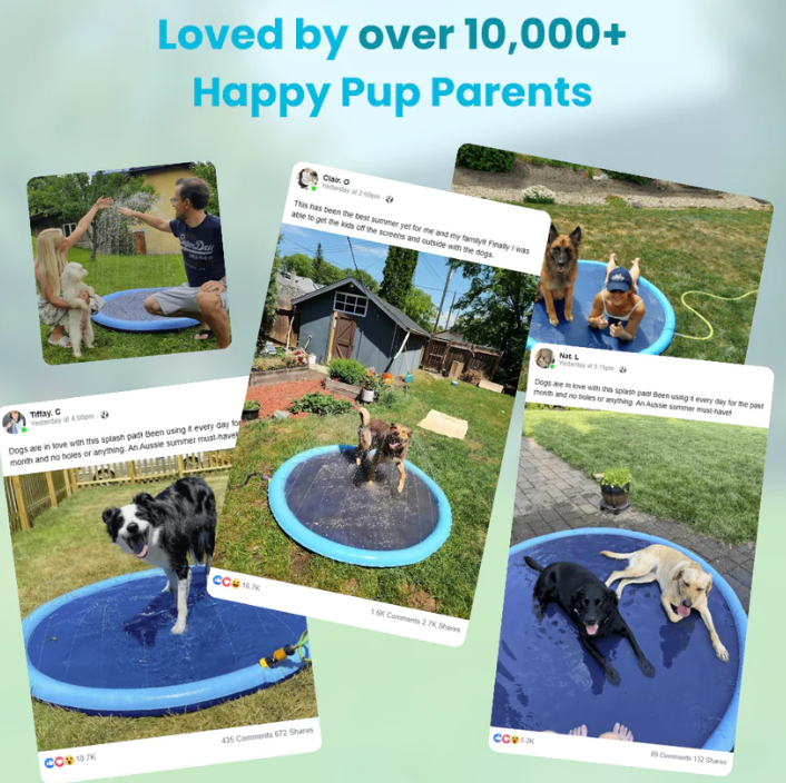 🔥Last Day 70% OFF🔥—— Pup Paradise Splash Pad