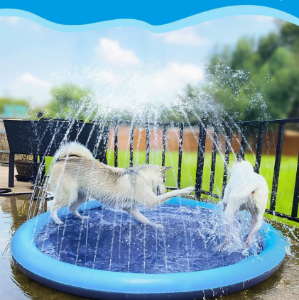 🔥Last Day 70% OFF🔥—— Pup Paradise Splash Pad
