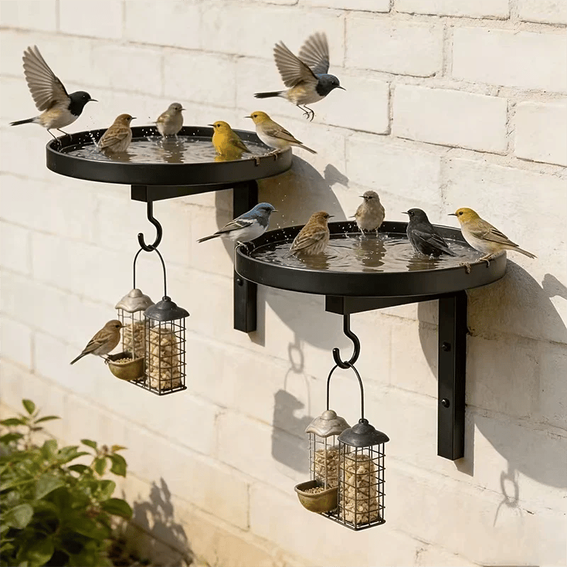 🔥Last Day 70% OFF——Wall Mounted Metal Bird Bath🐦🛁🧱🏡